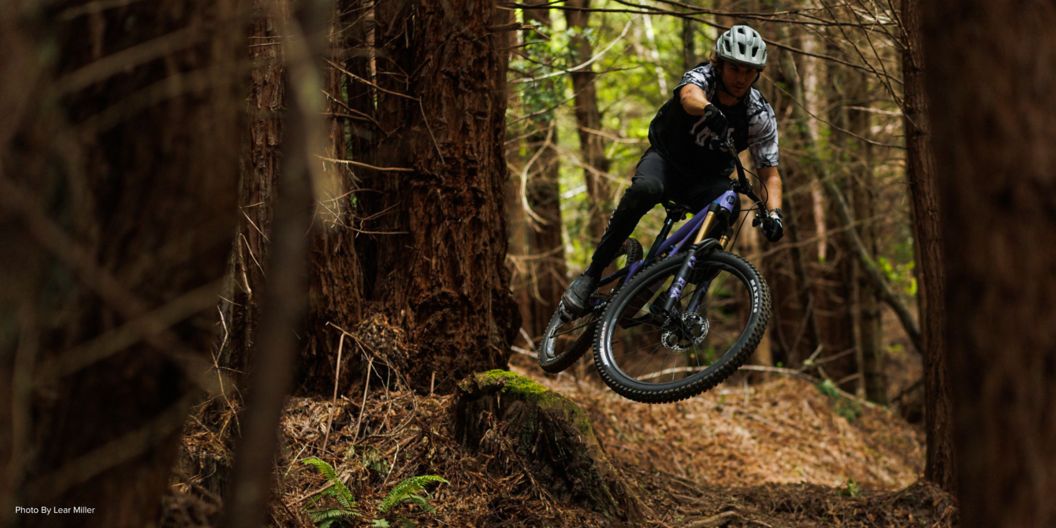 A rider on the HD6 tricks a small drop in a dense redwood forest. 