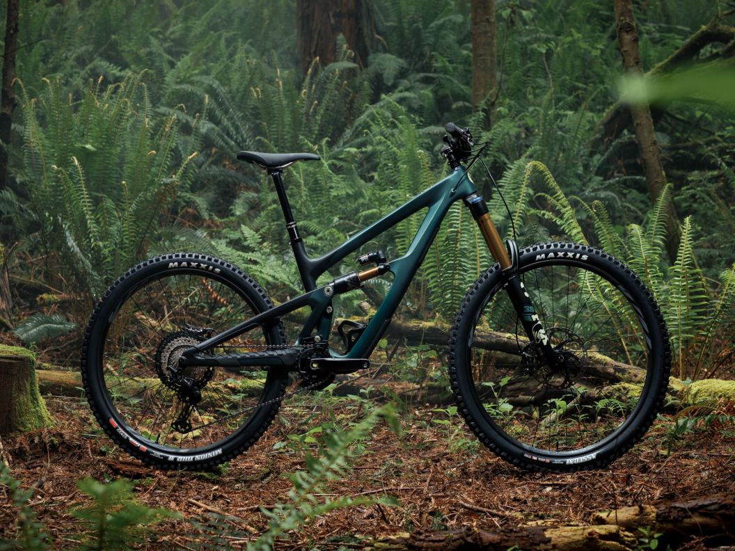 The Ibis HD6 in side-profile stands on a bed of fern leaves in a heavily forested area.
