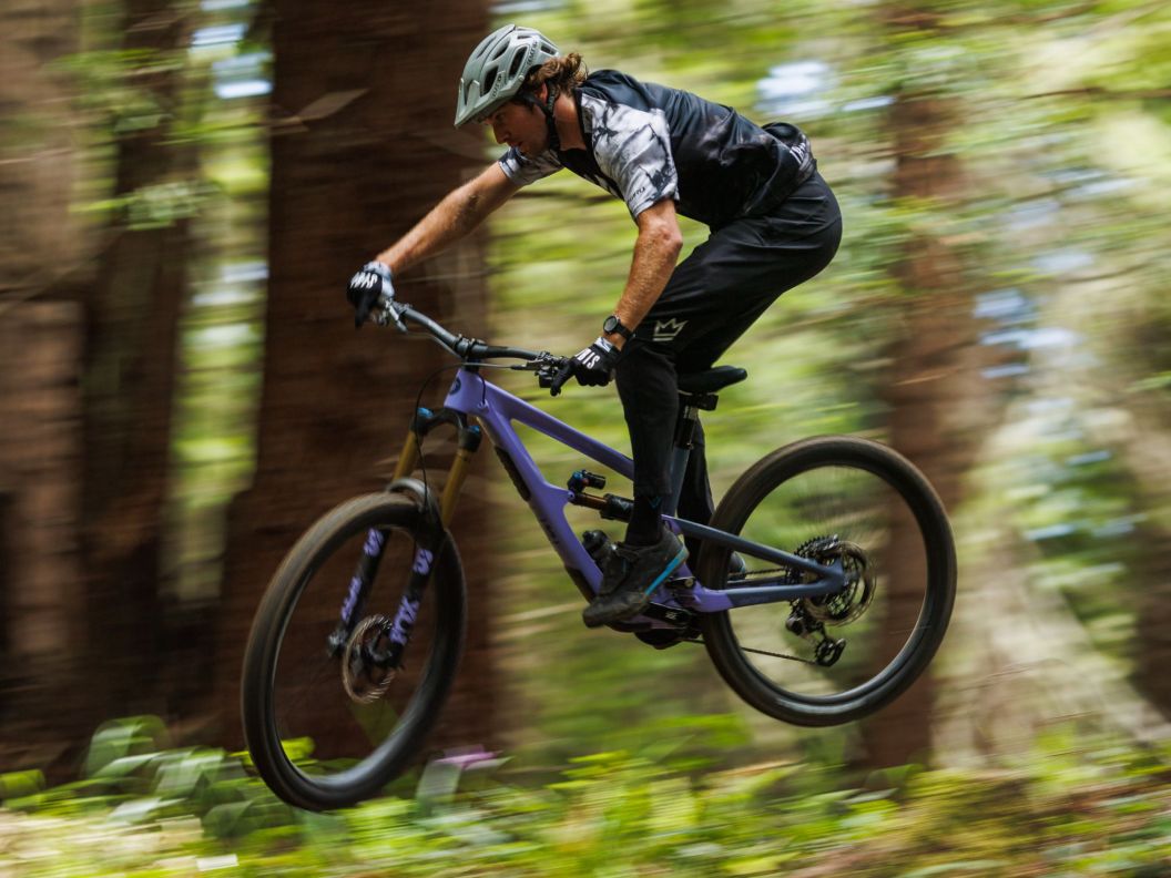 An MTB rider tricks a small drop in a dense redwood forest.