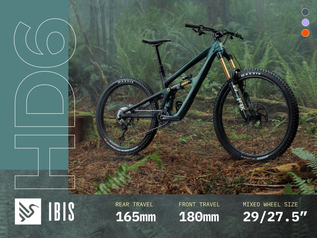 The Ibis HD6 in side-profile stands on a bed of fern leaves in a heavily forested area. Travel and wheel size specifications are at the bottom of the image.