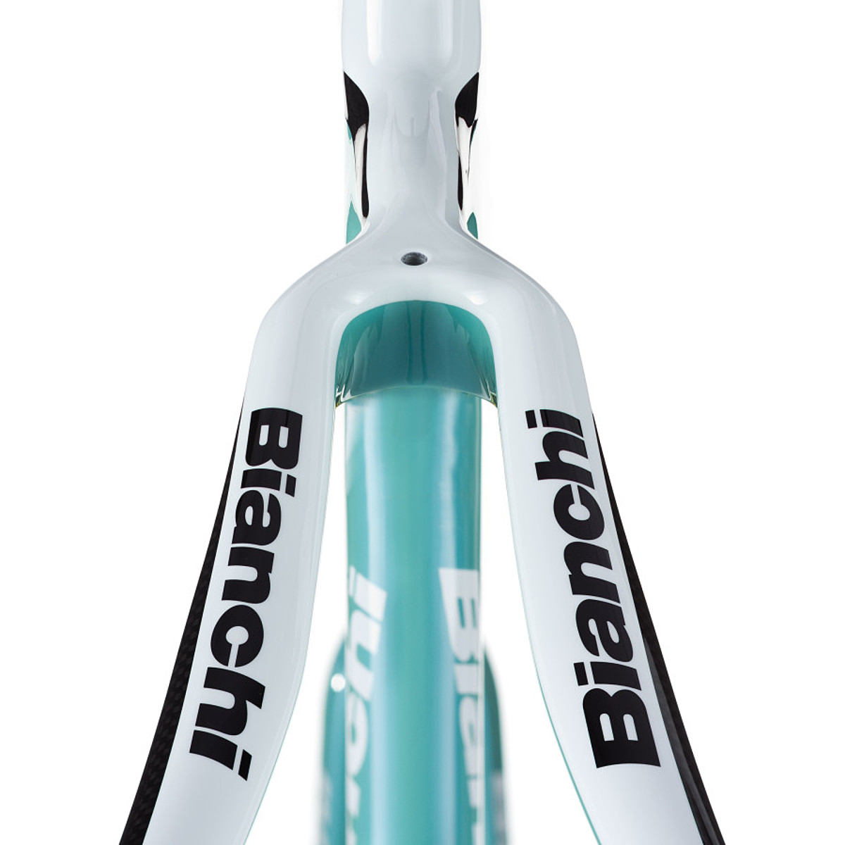 bianchi intenso vs infinito