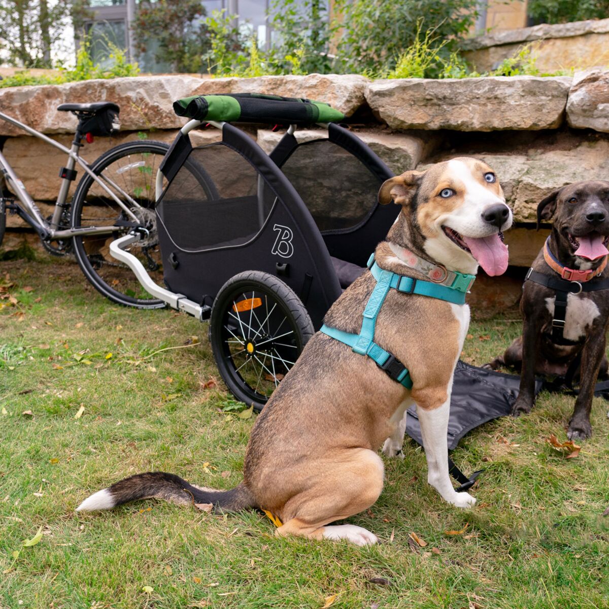 Burley Tail Wagon Dog Bike Trailer Accessories