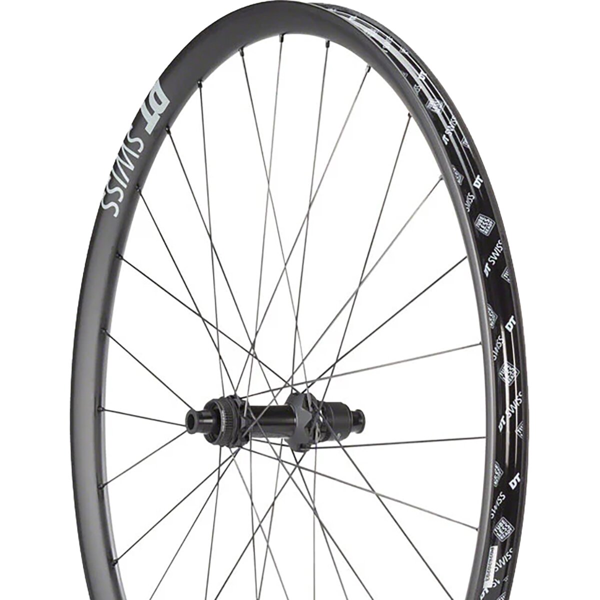 DT Swiss 29