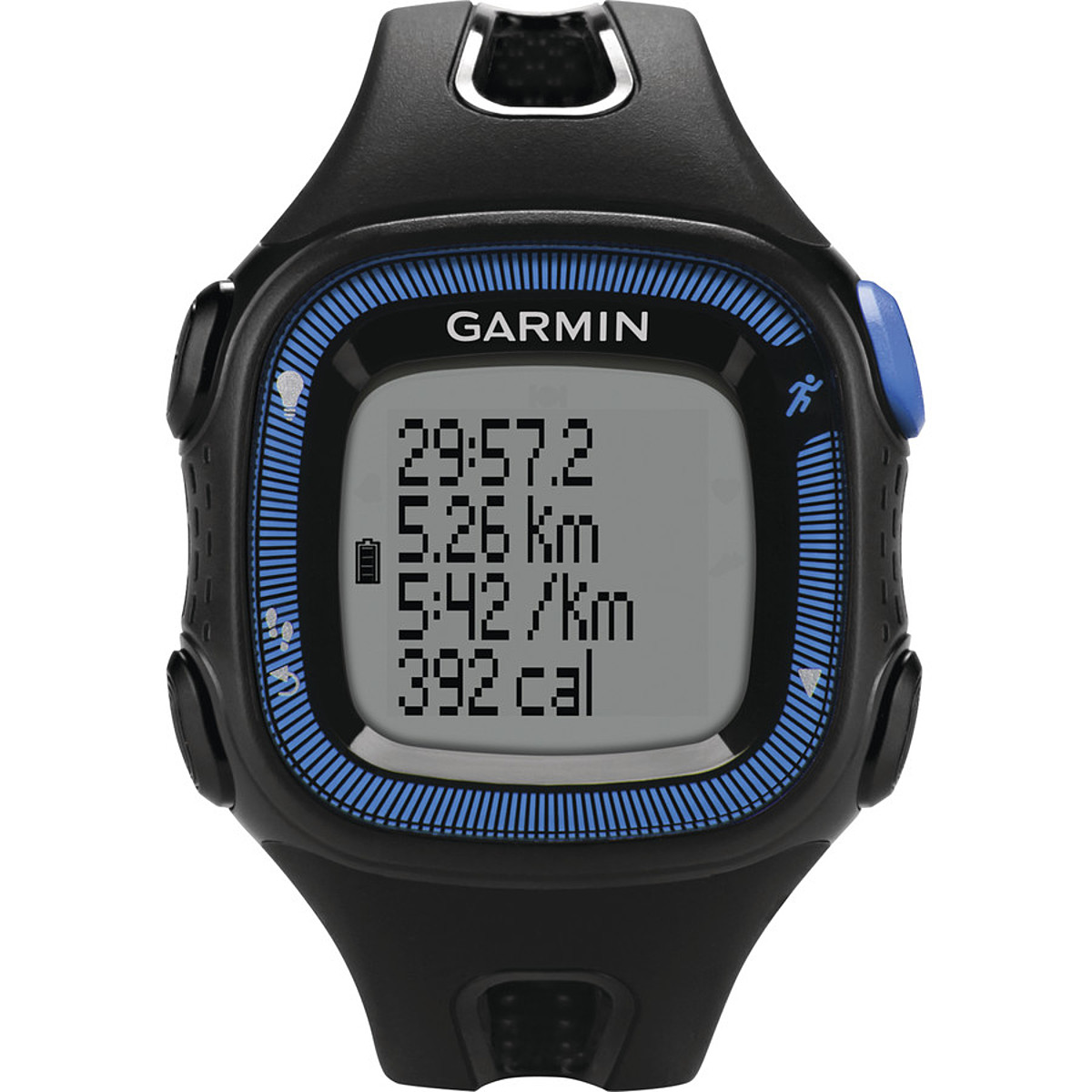 garmin forerunner 15 large