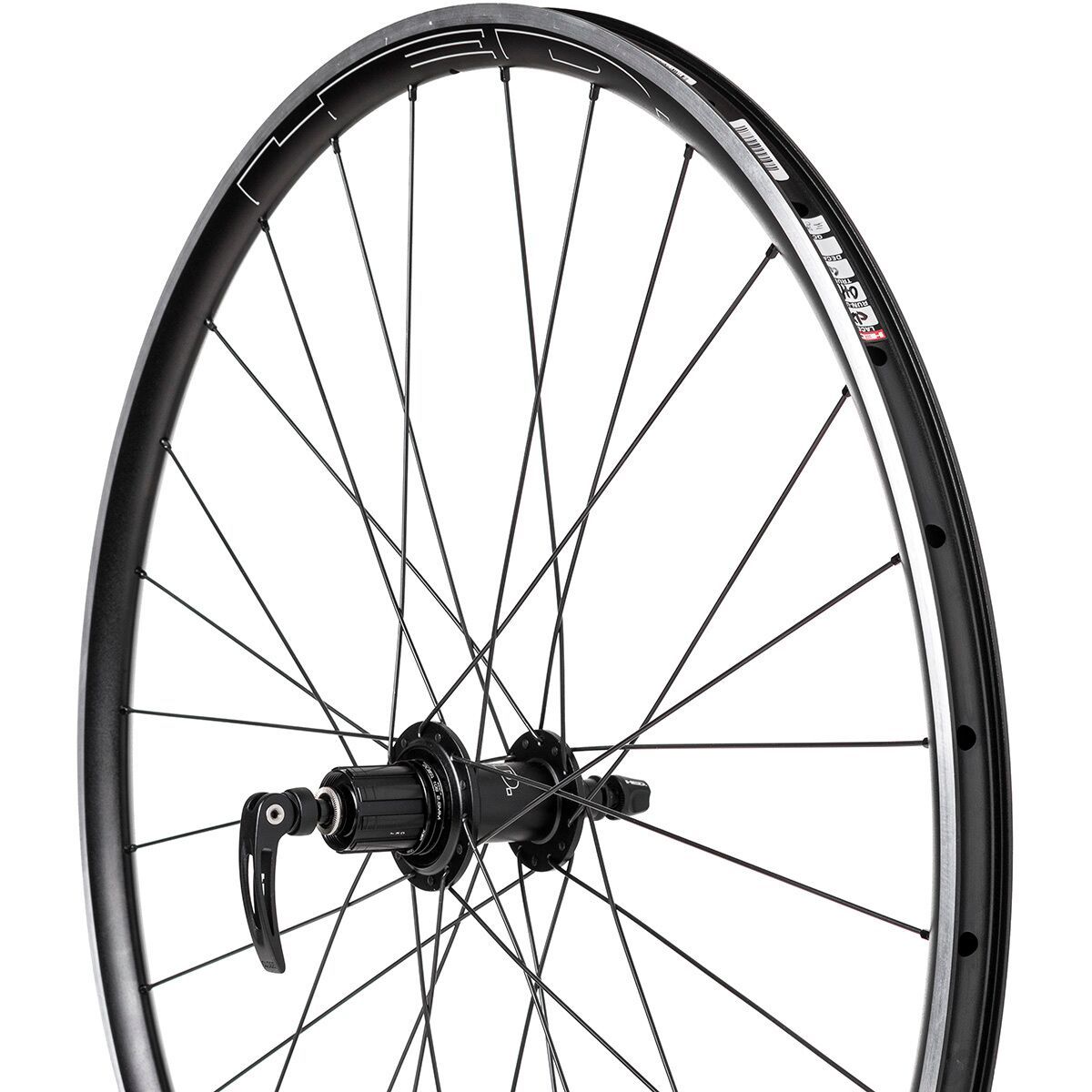 HED Belgium plus