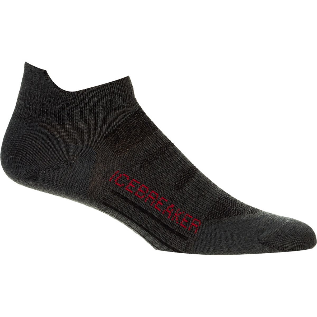 Icebreaker Ultralite Micro Bike Sock Men's Men