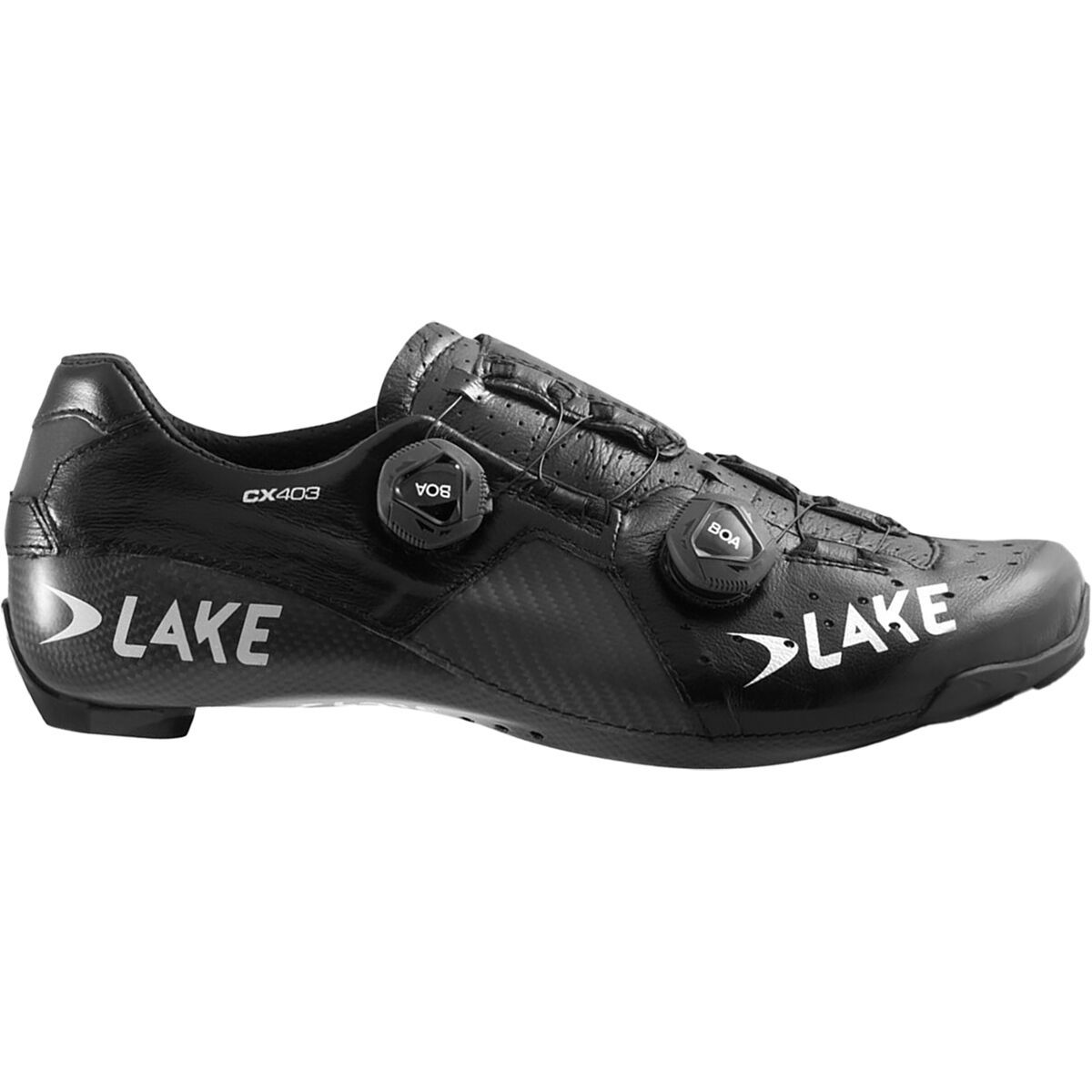cx403 lake