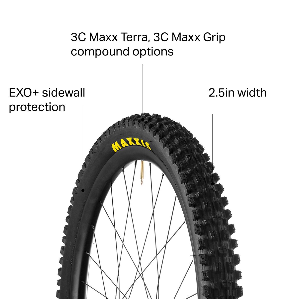 interceptor 650 back tyre