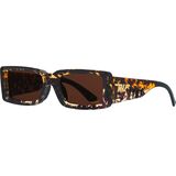 Desert Tortoise Brown