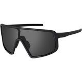 Obsidian Black Polarized/Matte Black