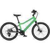 Jungle Green