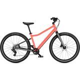 Neon Coral