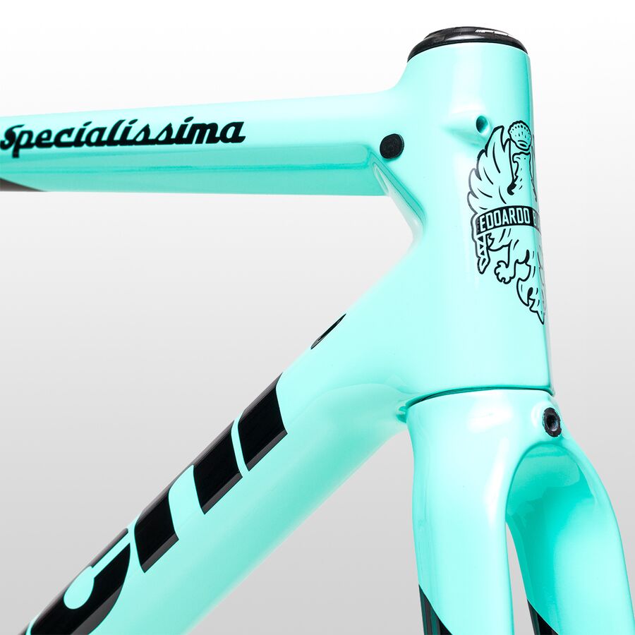 Bianchi Road Frameset Competitive Cyclist