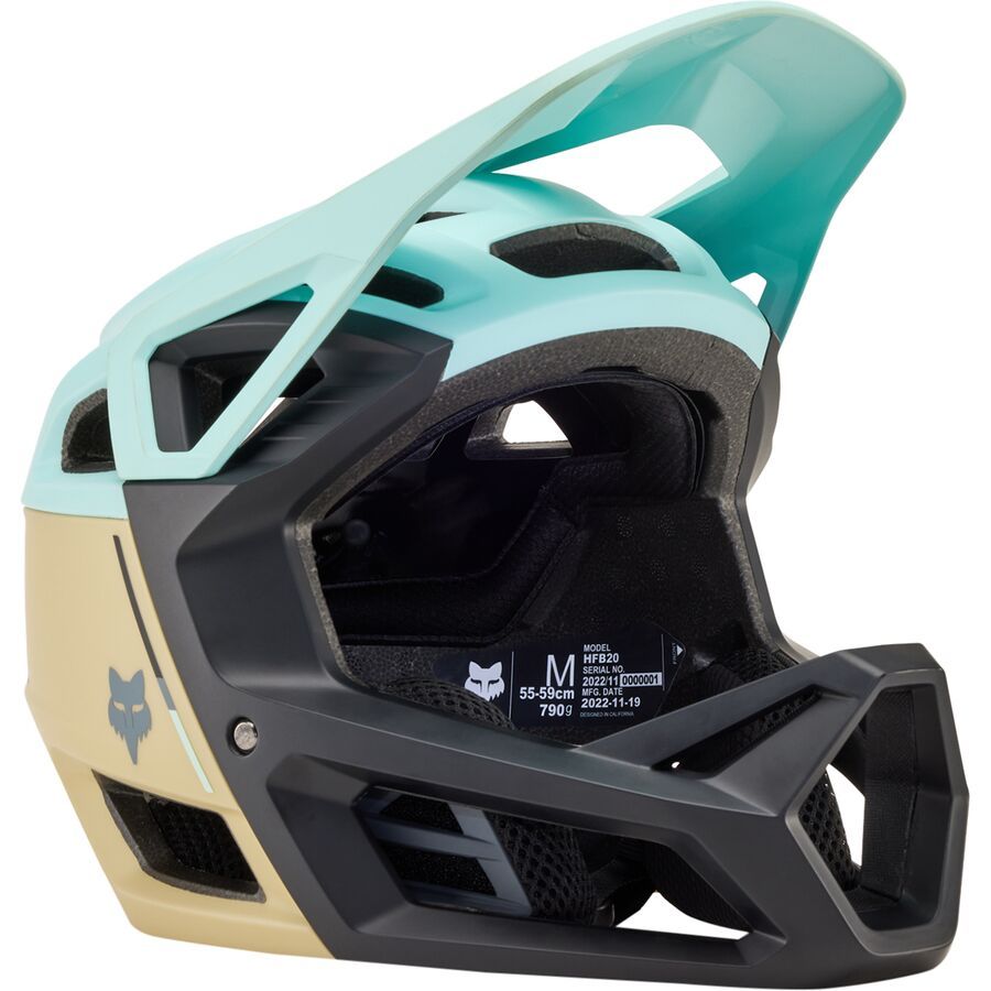 Proframe Helmet