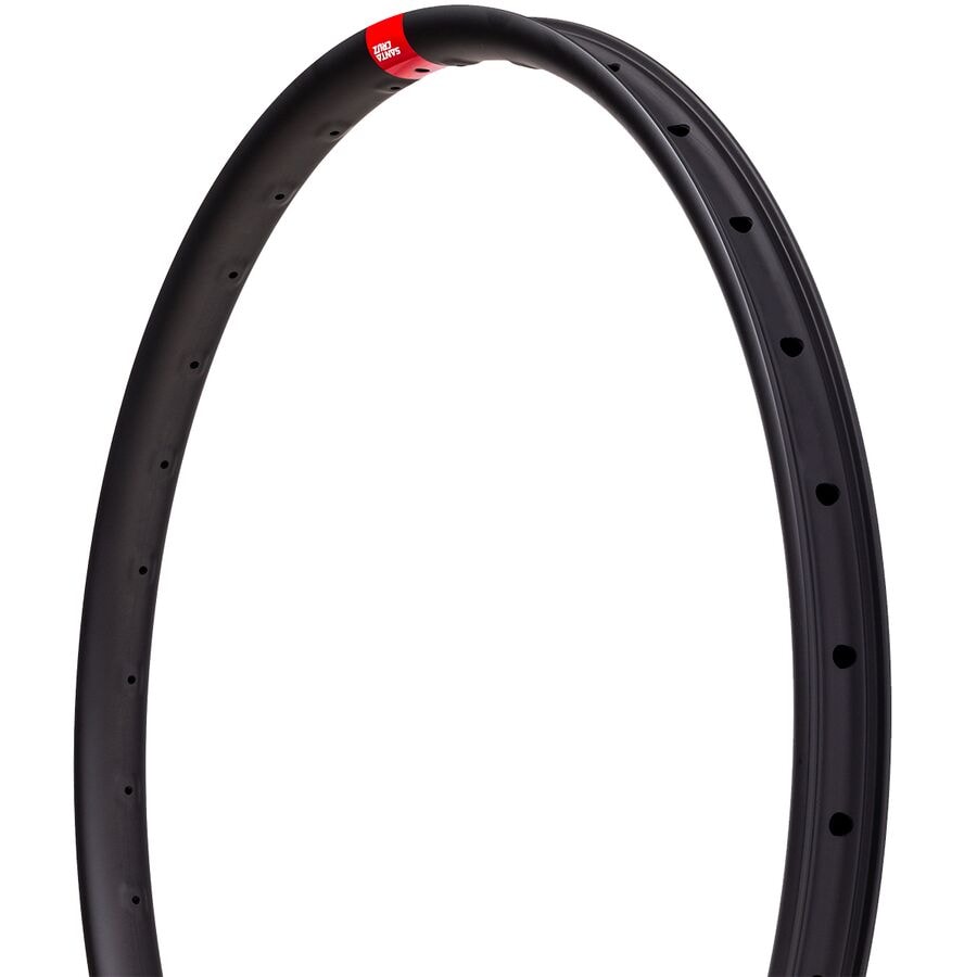DH 29in Carbon Rim