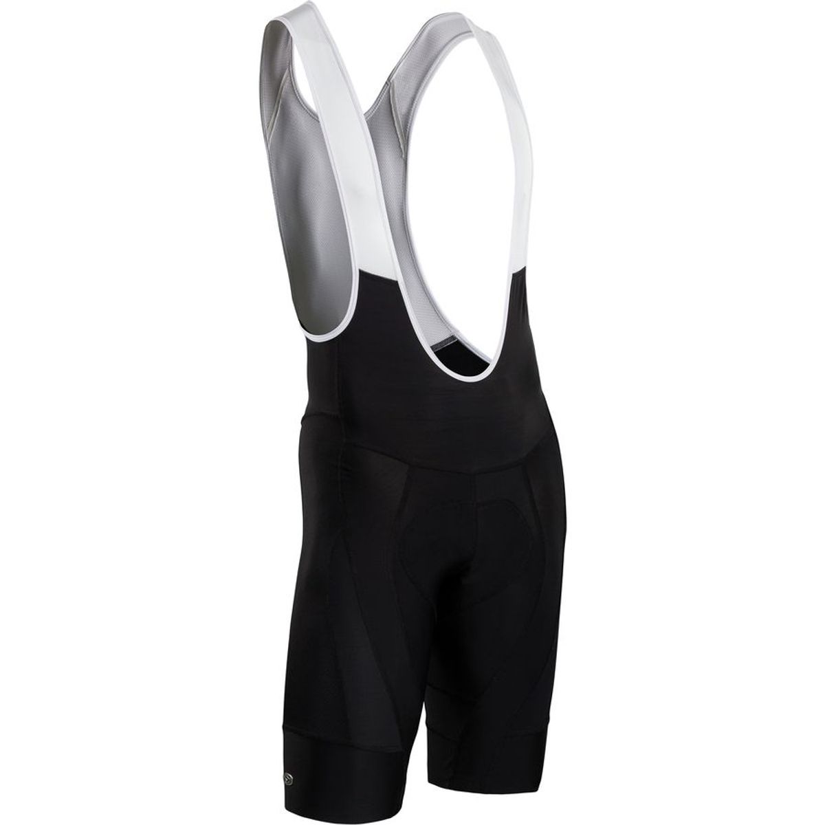 pro bib shorts