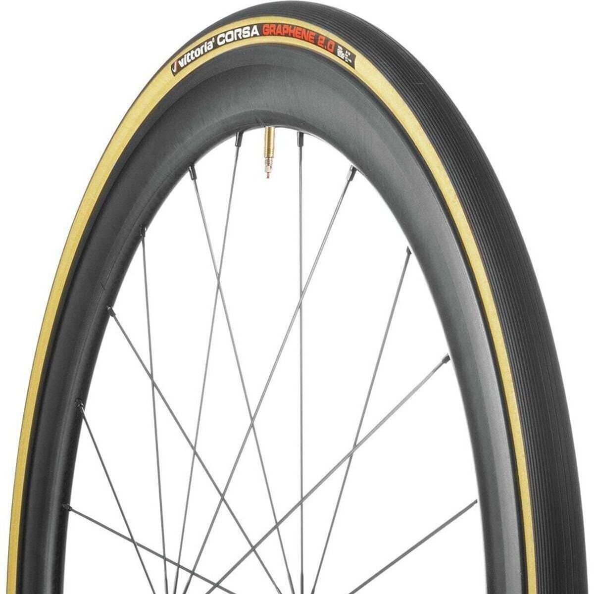 Vittoria Corsa Control G2.0 Clincher Tire - Components