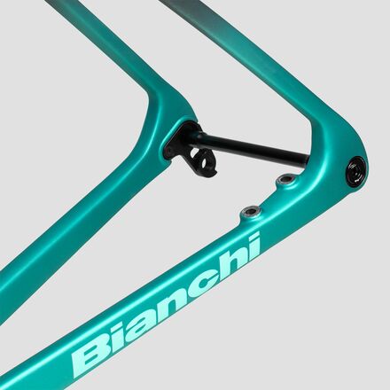 Bianchi - Specialissima RC Disc Road Bike Frameset