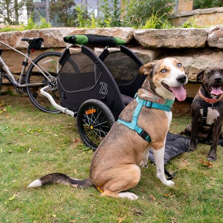 Burley - Tail Wagon Dog Bike Trailer