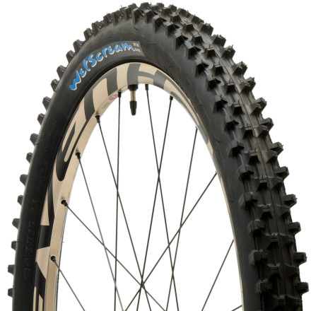 Maxxis Wetscream DH Tire - 26in M137 - Components