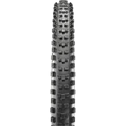 Maxxis - Dissector Wide Trail 3C/EXO+/TR 29in Tire
