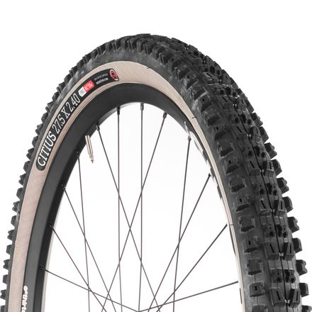 Onza - Citius Gumwall Tubeless Tire - 27.5in