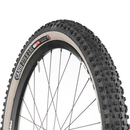 Onza - Canis Gumwall Tubeless Tire - 27.5 Plus