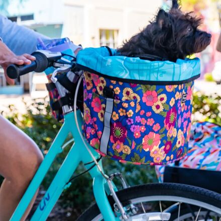 Po Campo - Pinellas Bike Basket