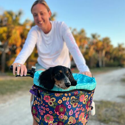 Po Campo - Pinellas Bike Basket