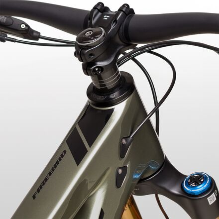 Pivot - Firebird Pro X01 Eagle X2 Mountain Bike