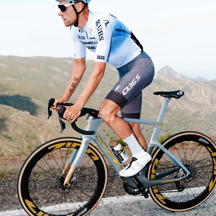 Q36.5 - Gregarius Clima Pro Cycling Team LE Jersey - Men's