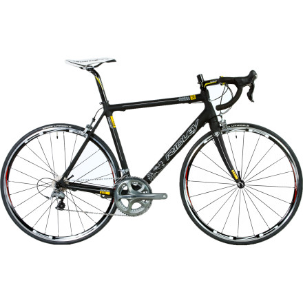 Ridley - Excalibur Flandrien - Ultegra Build