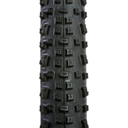 Schwalbe - Racing Ralph MTB Tire - 29in