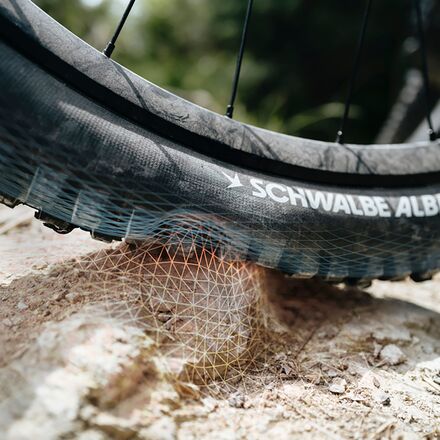 Schwalbe - Albert Evolution Tubeless Radial Tire - 29in