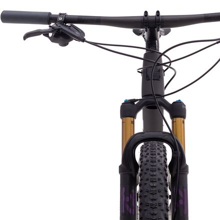 Santa Cruz Bicycles - Blur Carbon CC XX1 Eagle Reserve Mountain Bike - 2019