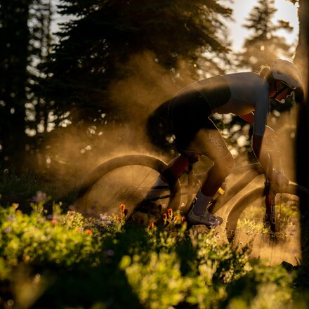 Santa Cruz Bicycles - Blur CC X0 Transmission Carbon Wheel Mountain Bike