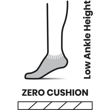 Smartwool - Run Zero Cushion Ombre Print Low Ankle Sock - Women's