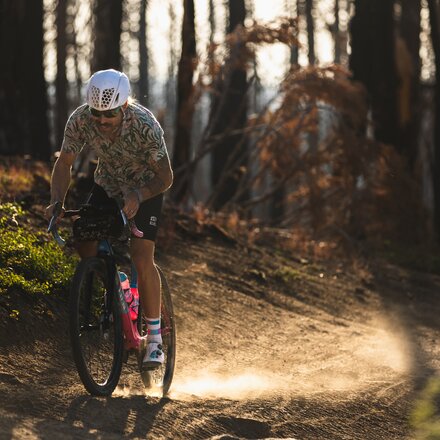 Tifosi Optics - Sanctum Sunglasses