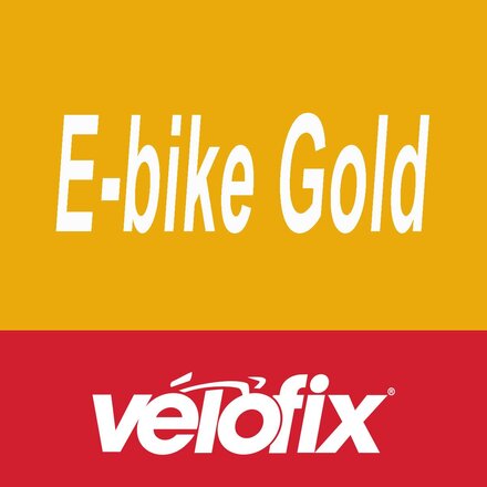 Gold Preventative Maintenance - eBike