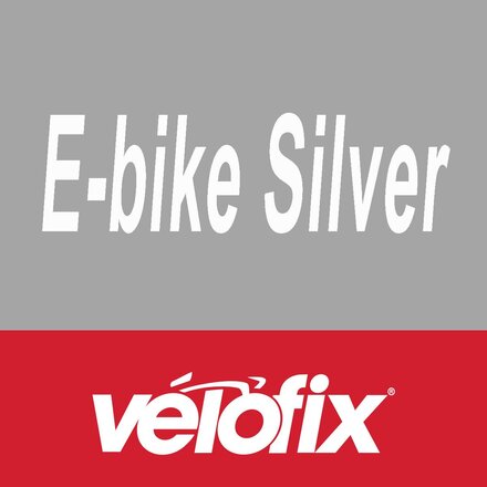 Silver Preventative Maintenance - eBike