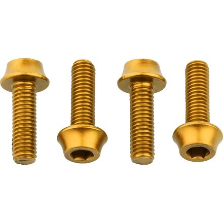 Water Bottle Cage Bolts