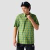 Elm Green Plaid
