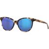 Shiny Tiger Cowrie Frame/Blue Mirror 580G