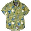 Moss Stone Paisley
