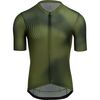 Deep Green/Sage