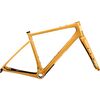 Compass Yellow
