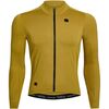 Olive Yellow