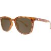 Knockaround - Paso Robles Polarized Sunglasses - Blonde Glossy Tortoise Shell/Amber