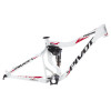Pivot - Firebird Mountain Bike Frame