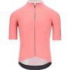 Gazzetta Pink